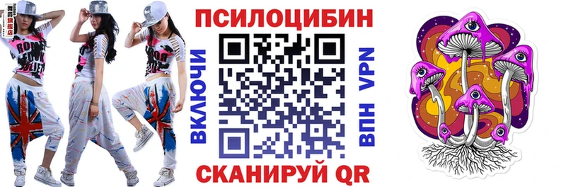 цена наркотик  Пошехонье  Галлюциногенные грибы MAGIC MUSHROOMS 